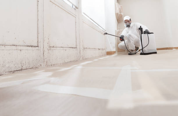 24/7 Emergency Crawl Space Mold Remediation experts in Cardinal, VA