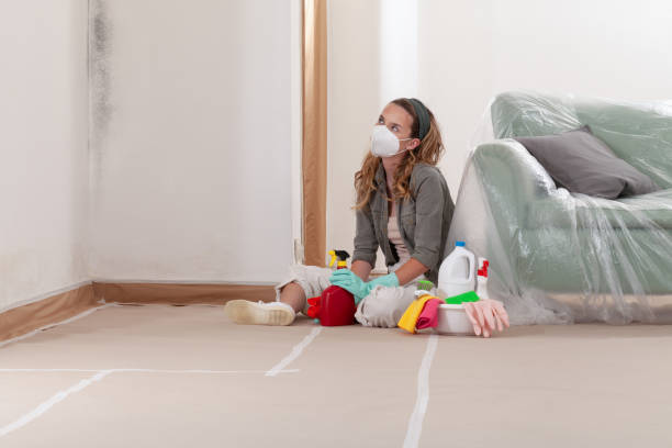 Reliable Crawl Space Mold Remediation contractor in Cardinal, VA by 24 Hour Mold Removal